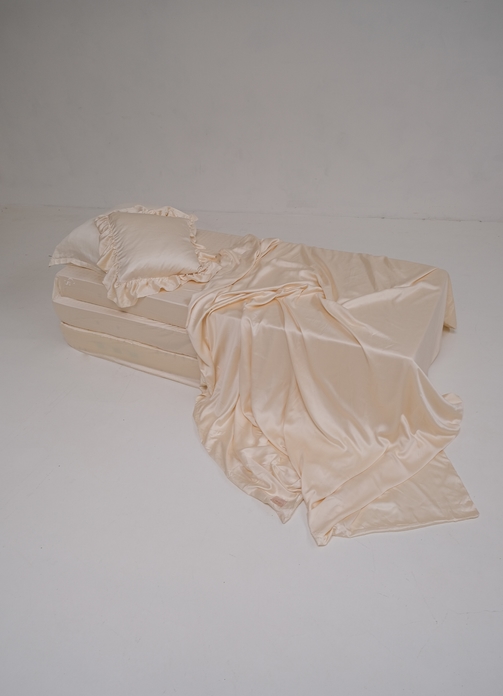 Sleeping beauty lr 8