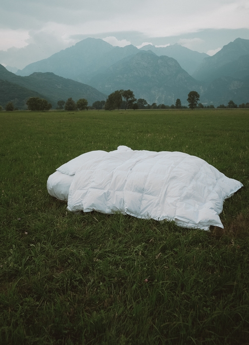 Down collection LR 2